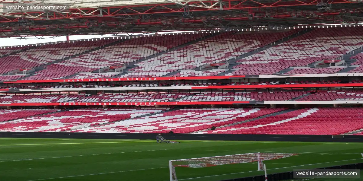 📸 赛场灯光熠熠生辉,照亮每一位英雄,气场全开震撼心灵。🌟